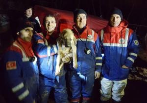 beykoz-da-kuyuya-dusen-yavru-kopek-kurtarildi