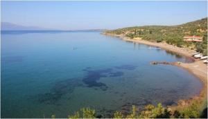 assos-dunya-mirasi-gecici-listesi-nde