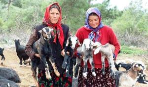 beydili-yorukleri-puse-ile-iyilesiyor