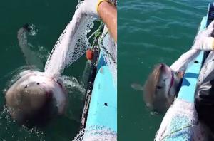 kopekbaligiyla-kavga-eden-baba