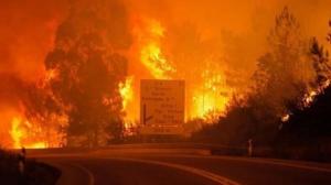 portekiz-de-yangin-57-olu