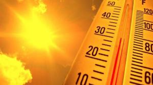 sicak-tatili-4-ile-cikti