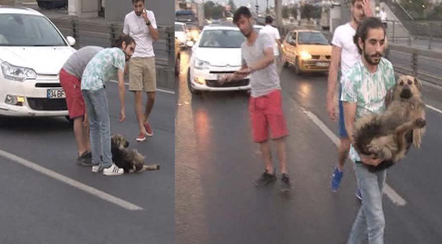 d-100-deki-yarali-kopege