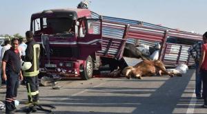 kurbanlik-tasiyan-kamyon-yolcu-otobusune-carpti