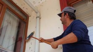 duzce-de-her-yeri-sardi-valilik-toplantiya-cagirdi