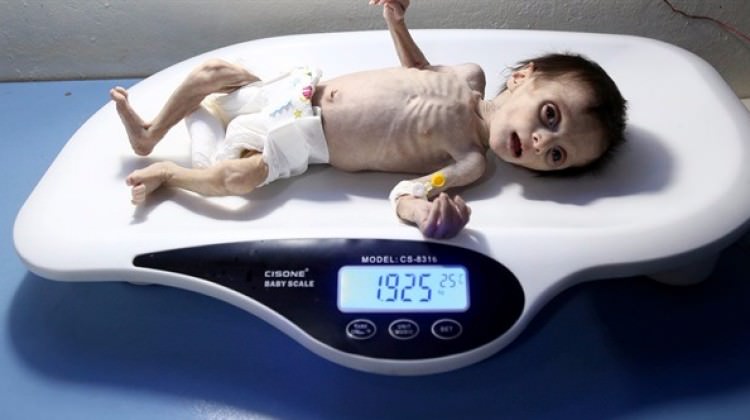 minik-seher-sadece-34-gun-dayanabildi