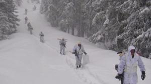 mehmetcik-pkk-li-teroristlere-goz-actirmiyor