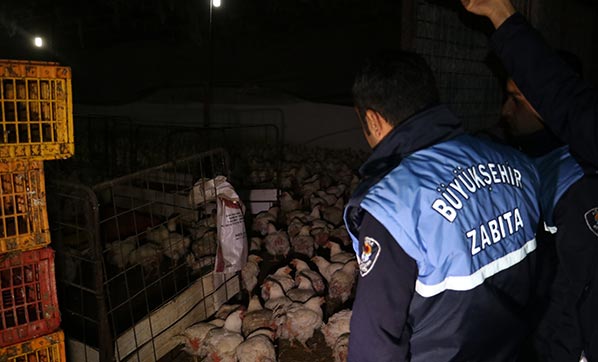 Adana'da gece yarısı baskını! Tam 2 ton ele geçirildi