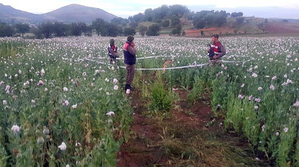 Jandarma hemen çembere aldı! 53 yaşındaki adam...