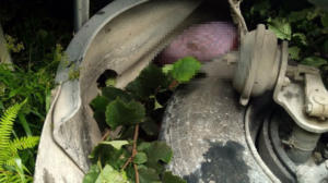 Beton mikseri devrildi: 1 ölü