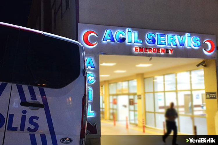 IMG_99D1D7-BEC4C8-E2BD97-DB86E4-521F54-1C100B