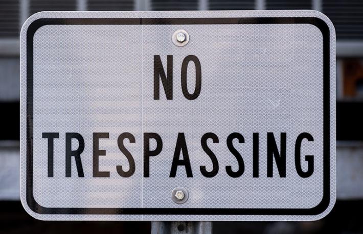 image-15403244451510168156