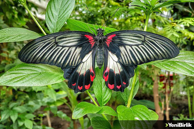 IMG_8C308F-3792D2-82EEAF-7B4039-7A06A8-FADA4F