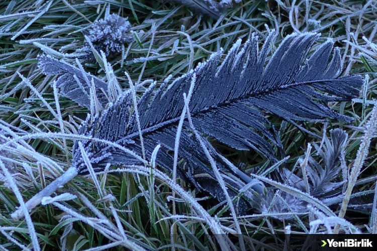 IMG_D5A5E2-49B9DF-F091DE-5F6C54-CB917C-434691