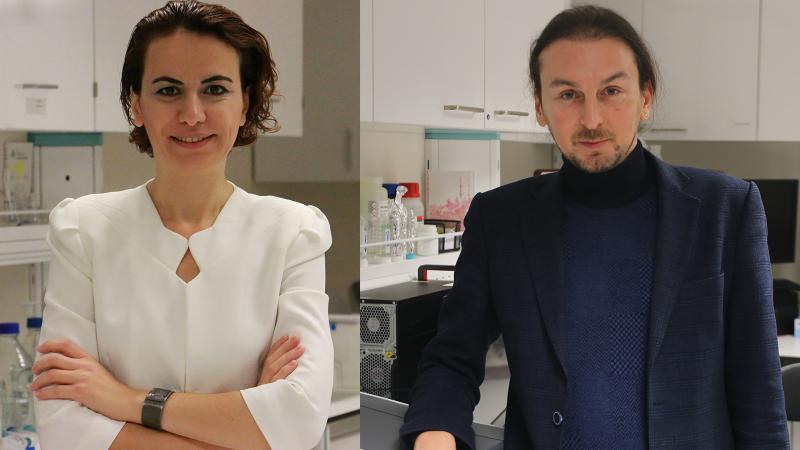 2018123103261519_mhkmttijiebasfrkccs1bnfvs01