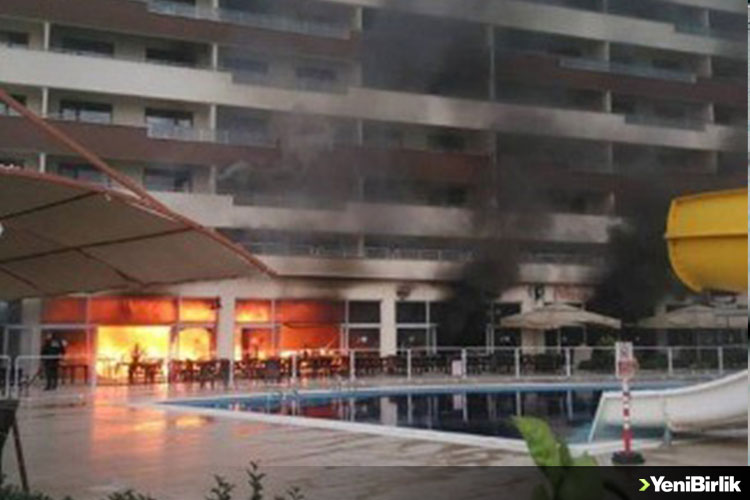 IMG_1486E1-3D26FE-EA2EC1-3C2FE1-2E9694-CCE861