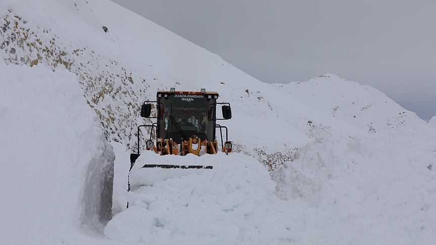 IMG_37100E-789253-592537-62D085-AFD20B-DE46A9