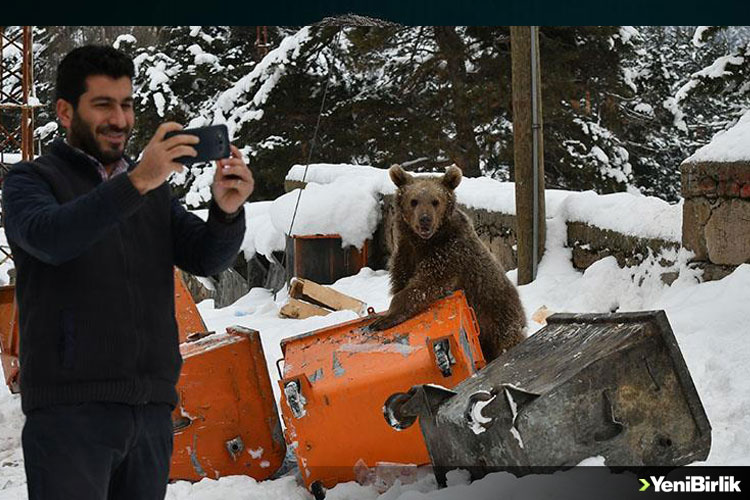 IMG_42D121-57283C-659758-670880-03E231-84208F