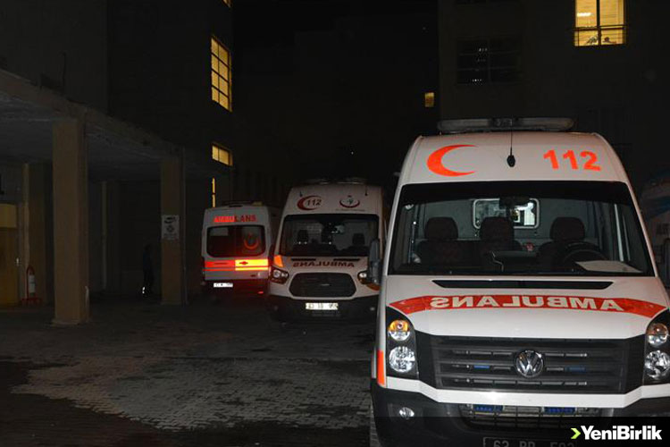 IMG_4578A0-10F8B3-6E44A9-2A8224-8D102B-A5EB4B