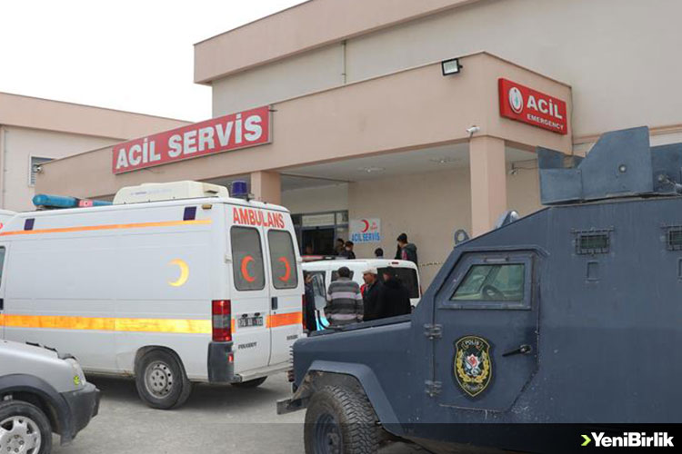 IMG_957098-083E40-E7E61C-86895D-670107-391D72