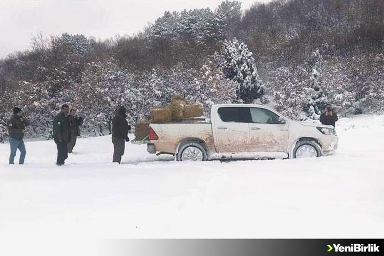 IMG_96A853-234E1C-42B795-B3DE58-09888F-6C0560