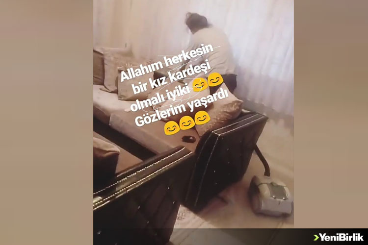 IMG_A93FE9-8A3DC9-3FD465-C5B915-D47396-3CB7A8