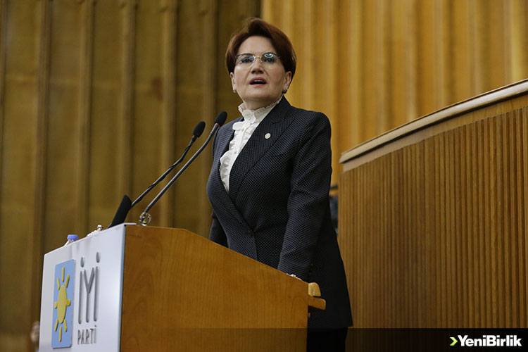 IMG_D7517A-B397B4-59B1D7-AAF1F6-71896F-5A1F6C