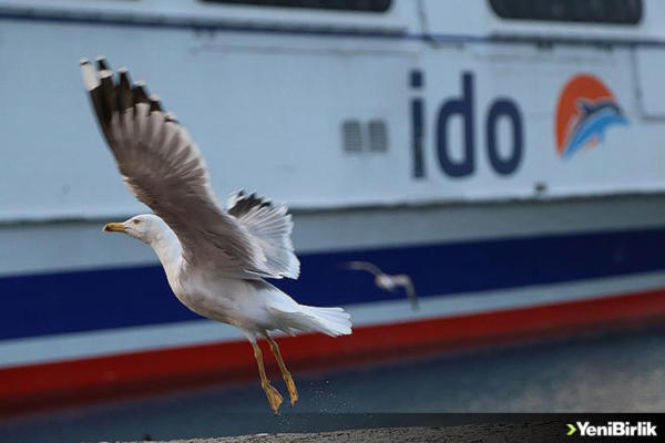 IMG_E06EFB-765535-8B1EC2-9D281C-B01A18-4A4BC0