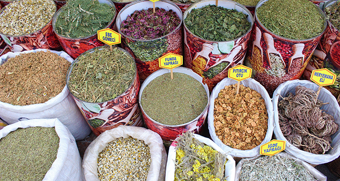 Çeşitli bitkisel otlarla tedavi olmak isteyen kanser hastalarına uzmanından uyarı