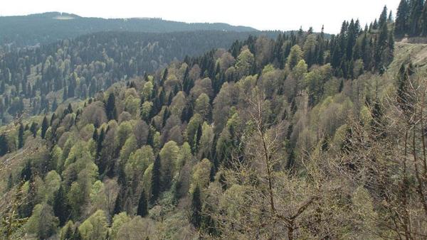 thumbs_b_c_9cec3e137656457454f92199d7e5d3f7