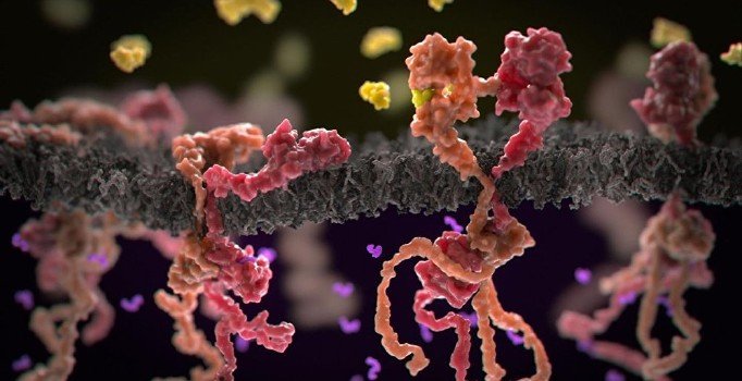 Kansere vücut sıcaklığından teşhis