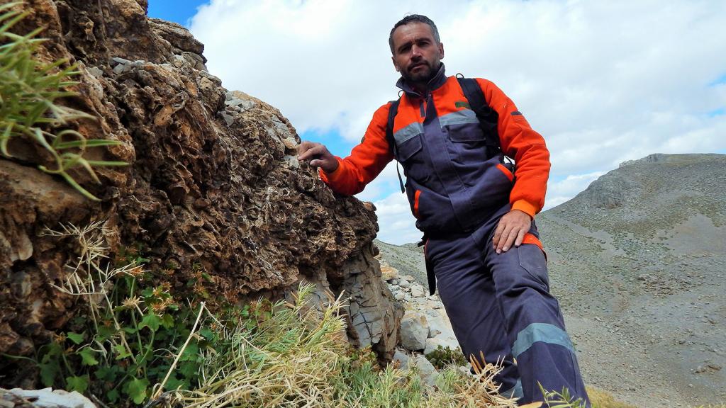 2019012517434693_bvpcogijedjb00u3tg7df3qrp41