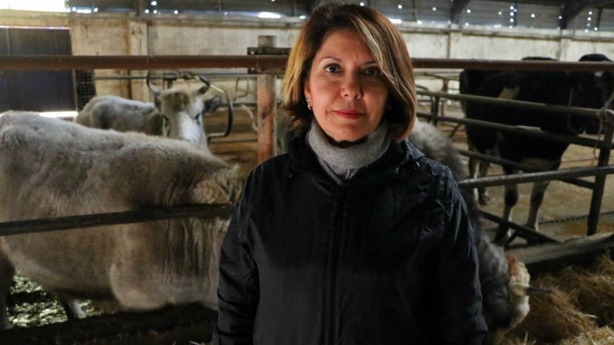 2019012812315693_fqhtir1ebajug0egpf8dahal951