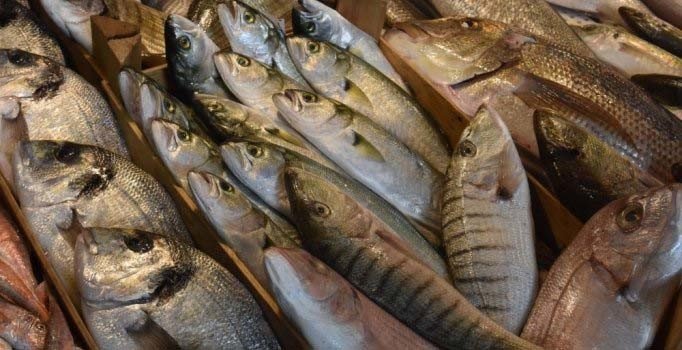 İzmir'de sağanak balığı da vurdu