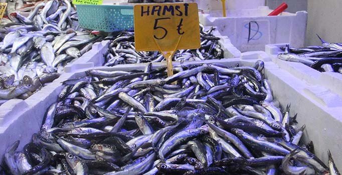 30 liraya kadar çıkan hamsi 5 liraya düştü