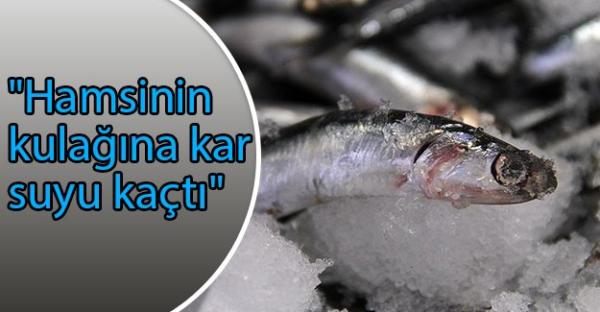 hamsinin_kulagina_kar_suyu_kacti_h80668_c08ac[1]