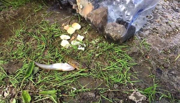 İlginç balık avlama yöntemi