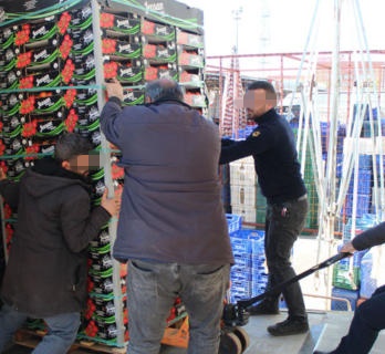 img_b9d977-863354-e2c62e-4cd9e2-d21d13-b0cfff-350x350