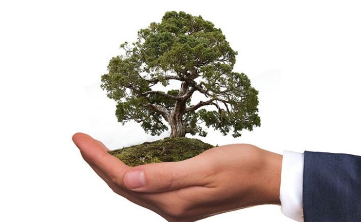 img_f48a09-62fd45-5c7180-4cb996-ecd4ab-0035a6