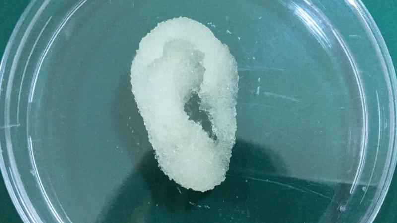 Kıbrıs’ın 3 boyutlu biyo-yazıcısı YDÜ’de geliştirildi