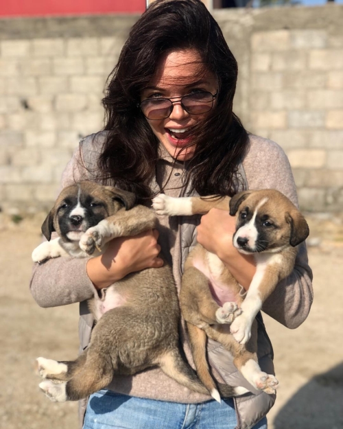 51240565_312814172922137_931814595899301764_n