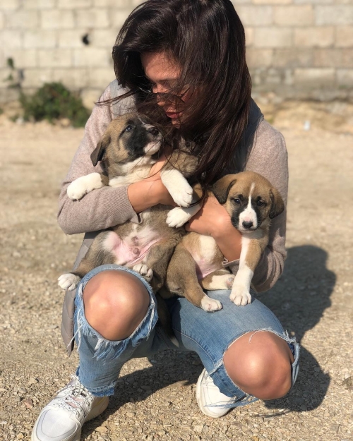 52770666_400800460694312_2082009563791619585_n