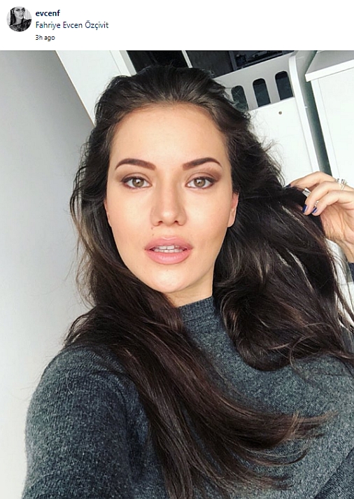 evcenf1