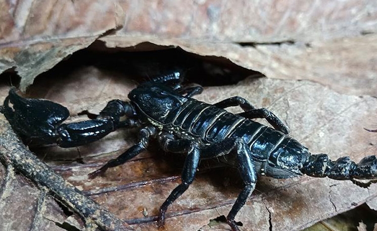 img_27d2bb-3ff67c-16323b-6c031b-bb65dc-a38c0f