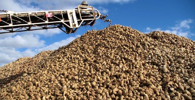 2019-2020 yılı şeker kotaları belirlendi