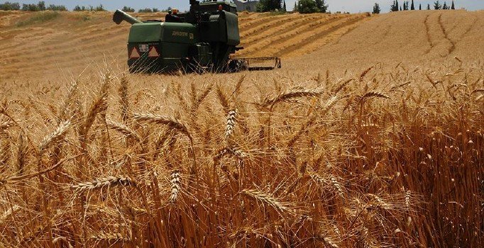 Kırsaldaki üretici ve girişimcilere 1,5 milyar liralık hibe paketi