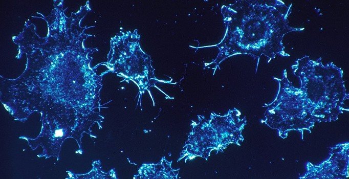 Suudi Arabistan'da corona virüsü iki can aldı