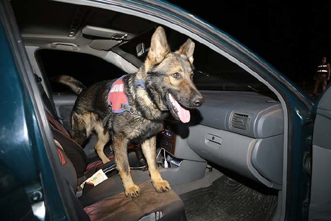 20190323_2_35591284_42893410 19-03/23/20190323_2_35591284_42893410.jpg