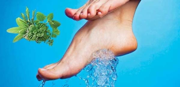 Topuk dikenine iyi gelen bitkiler