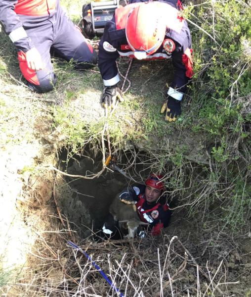SU KUYUSUNA DÜŞEN KUZUYU İTFAİYE KURTARDI